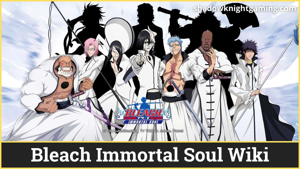 Bleach: Immortal Soul, Bleach Wiki