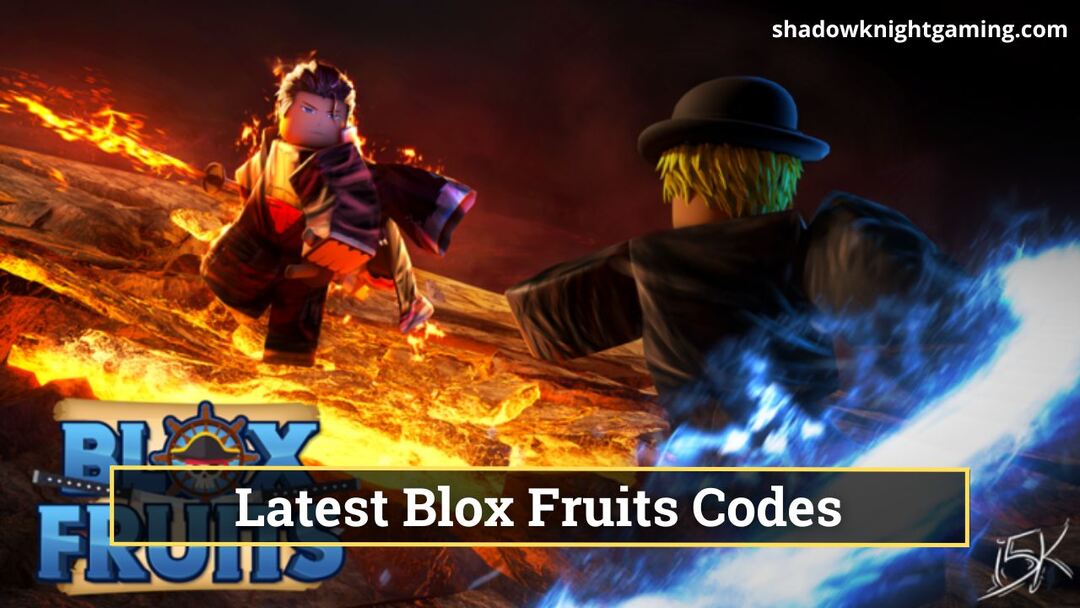 Latest Blox Fruits Codes [May 2024]