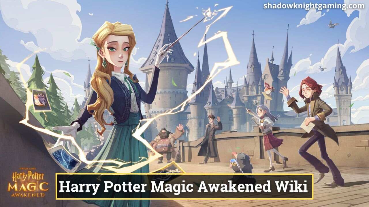 Magic Lottery, Harry Potter Wiki